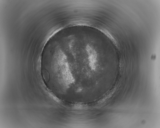 X0000096130790200802011147