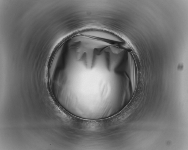 X0000096130791200802011147