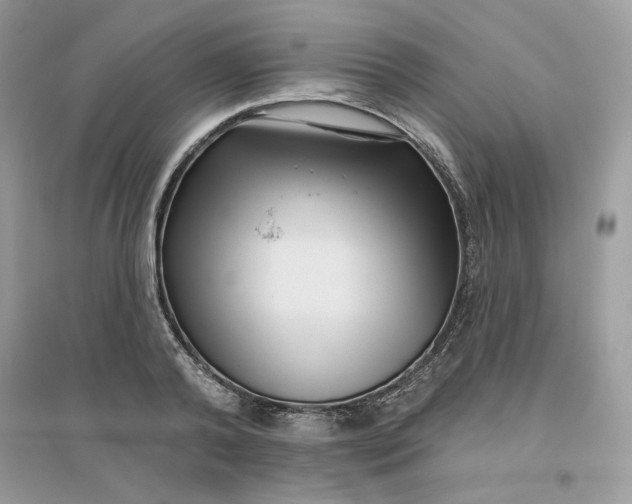 X0000096130792200802011147
