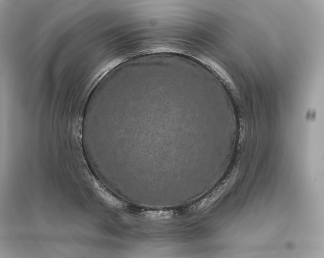 X0000096130793200802011147