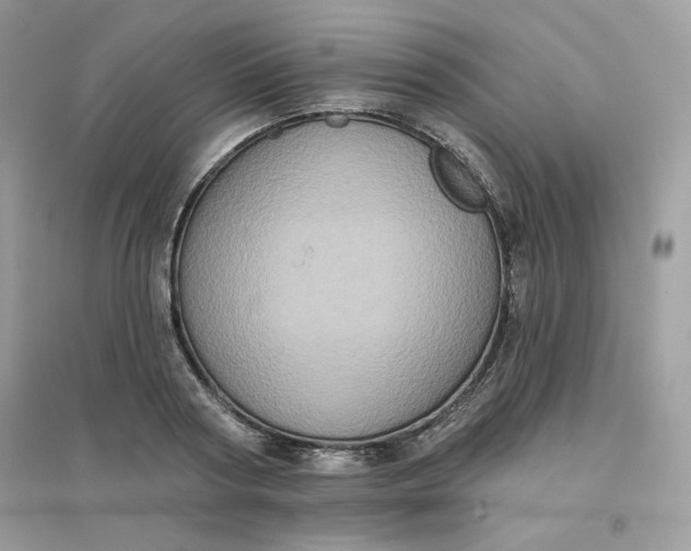 X0000096130794200802011147