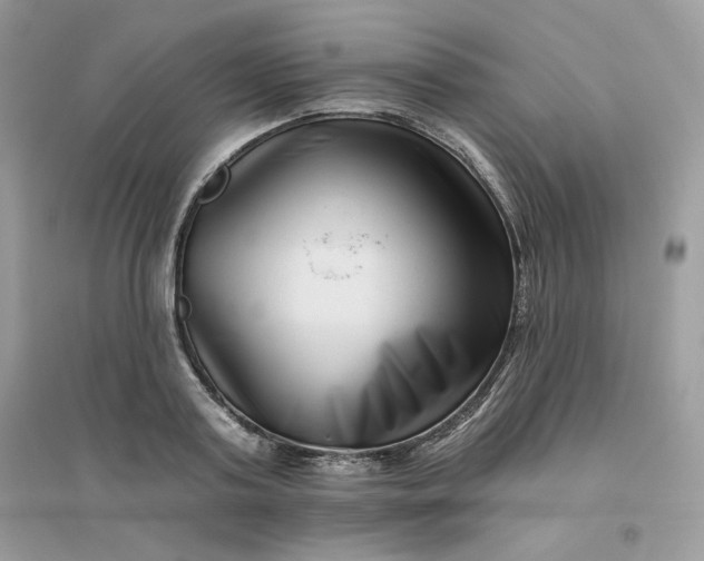 X0000096130795200802011147