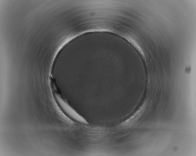 X0000096130797200802011147
