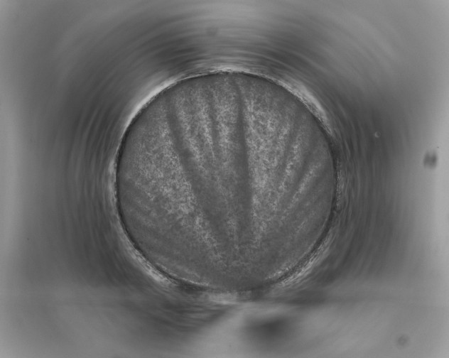 X0000096130798200802011147