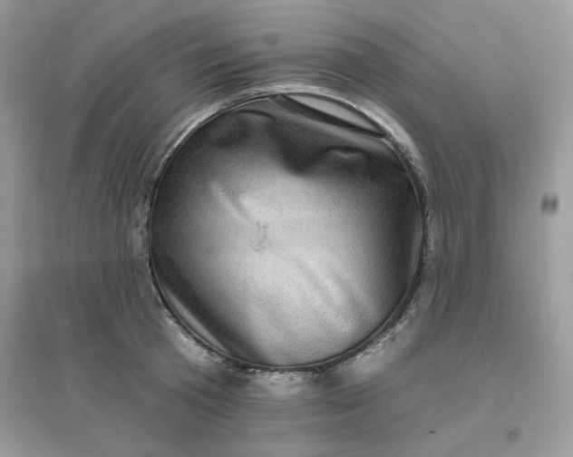 X0000096130801200802011147