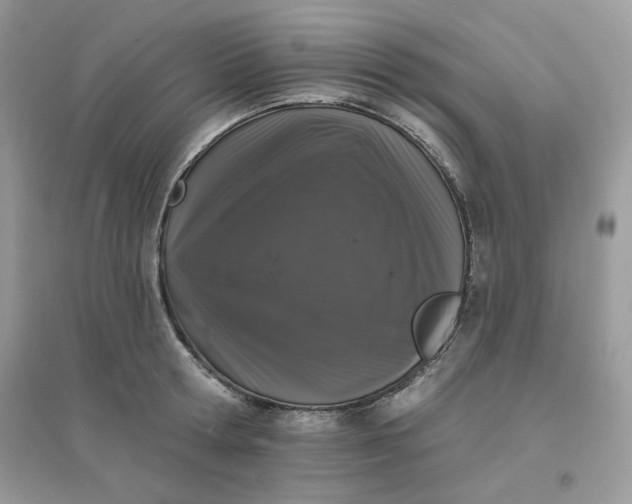 X0000096130802200802011147