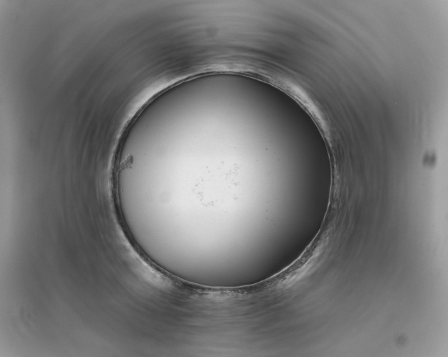 X0000096130803200802011147