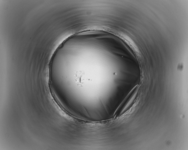 X0000096130804200802011147
