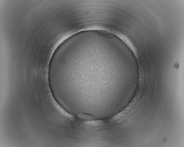 X0000096130805200802011147