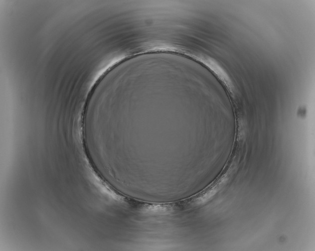 X0000096130806200802011147