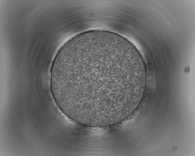 X0000096130807200802011147