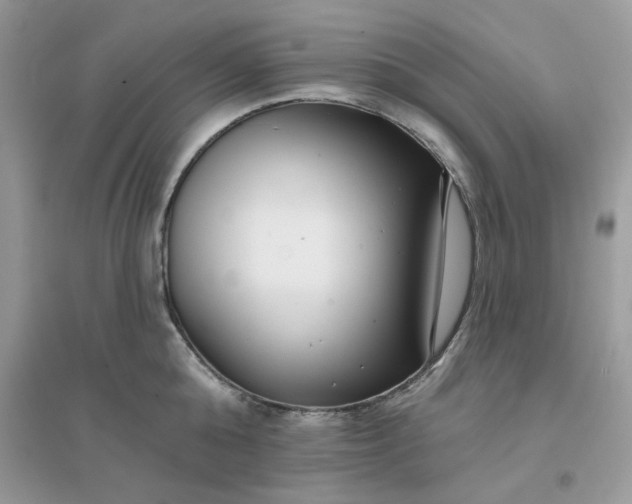 X0000096130808200802011147