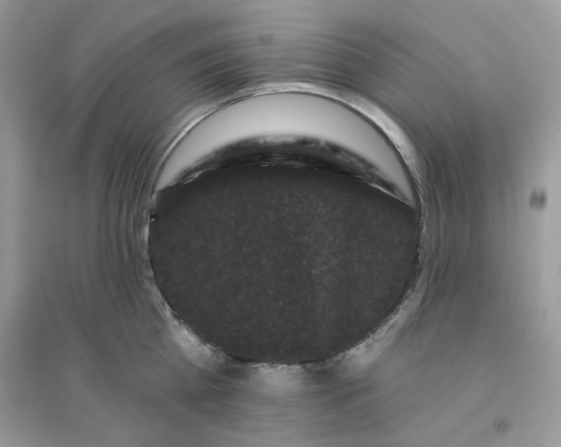 X0000096130809200802011147