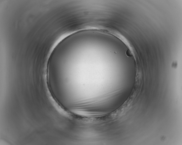 X0000096130811200802011146