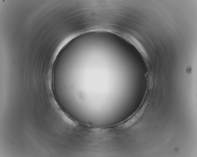 X0000096130812200802011146