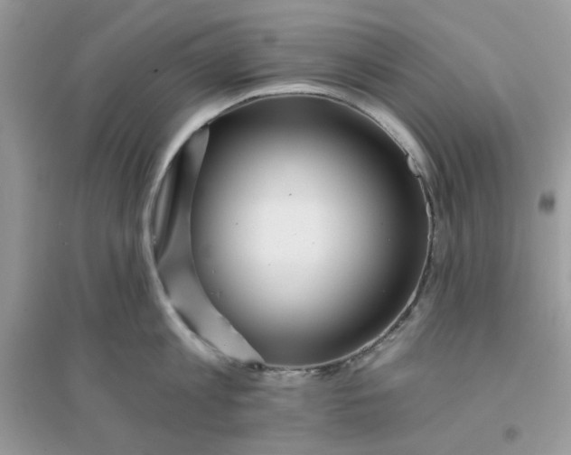 X0000096130813200802011146