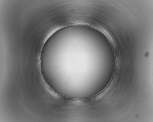 X0000096130814200802011146