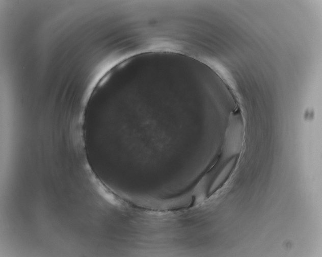 X0000096130816200802011146