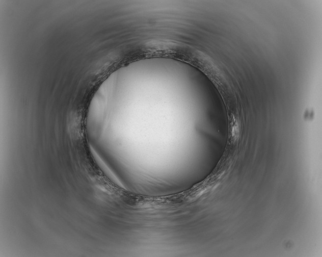 X0000096130819200802011146