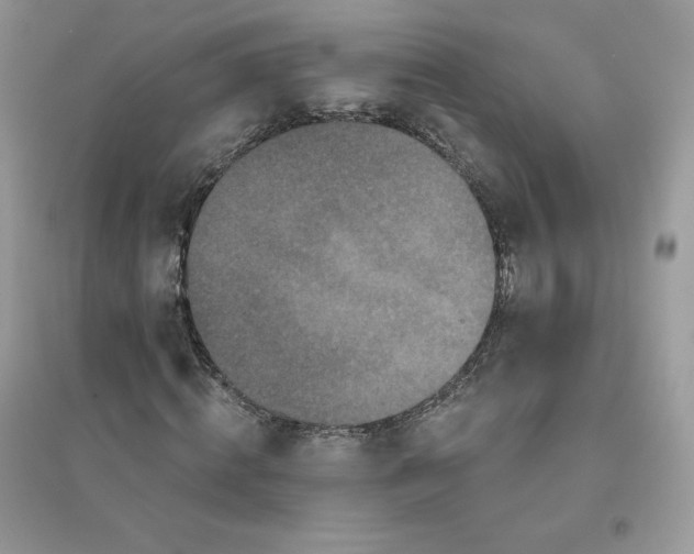 X0000096130820200802011146