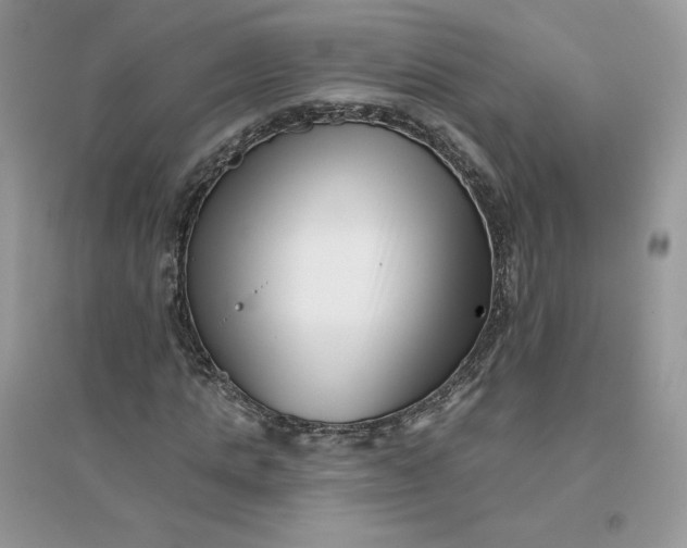 X0000096130821200802011146