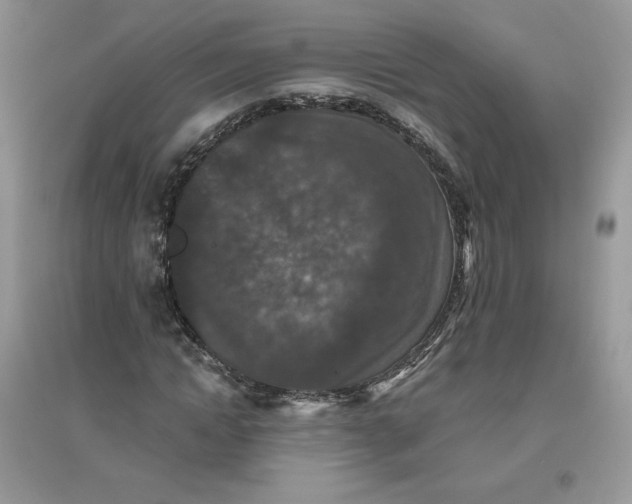 X0000096130822200802011146