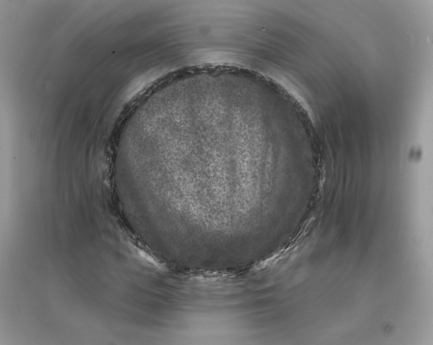 X0000096130823200802011146