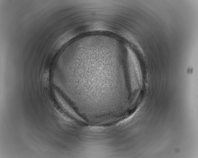 X0000096130825200802011146