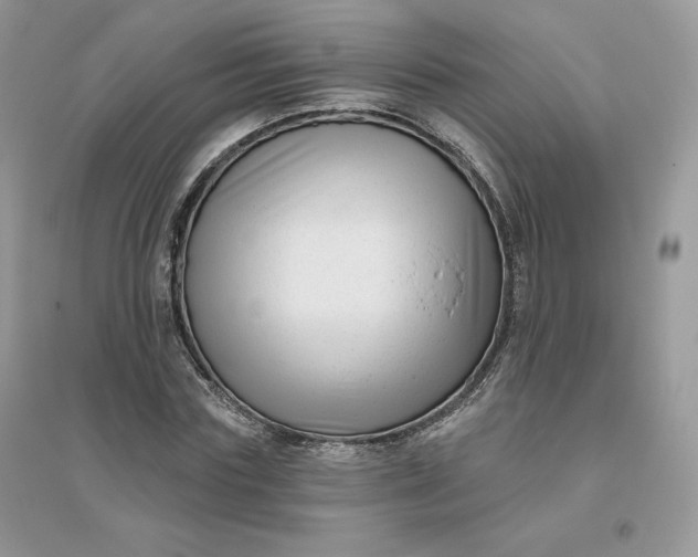X0000096130827200802011146
