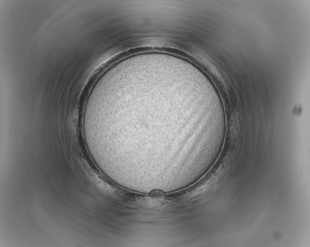 X0000096130831200802011146