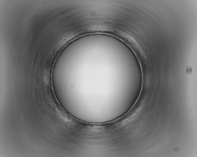 X0000096130833200802011146