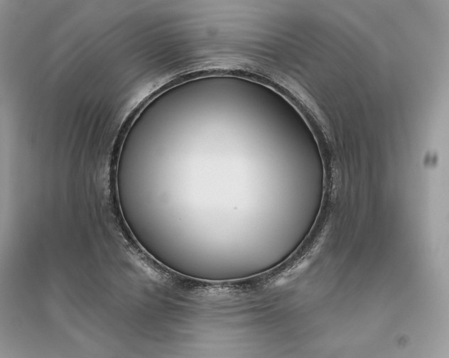 X0000096130834200802011146