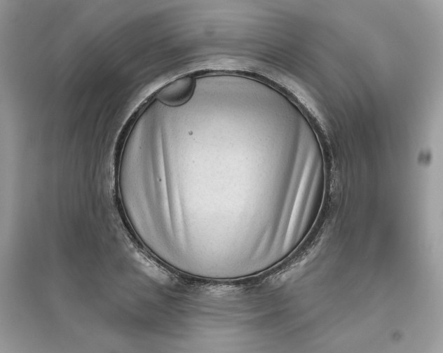 X0000096130837200802011146