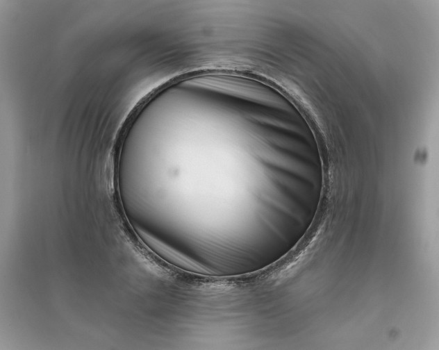 X0000096130838200802011146