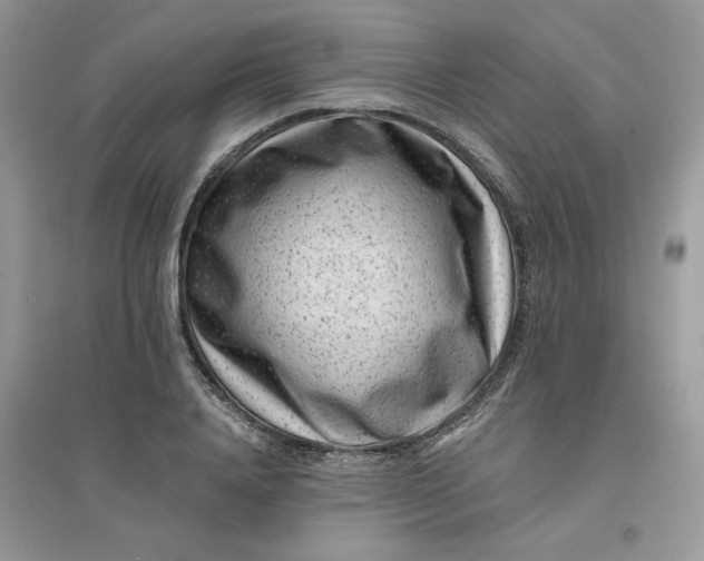 X0000096130840200802011146