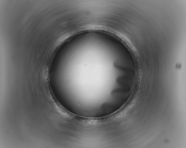 X0000096130841200802011146