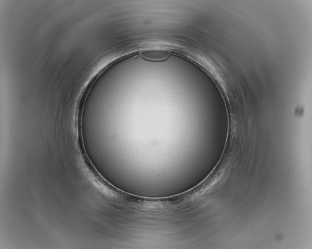 X0000096130843200802011146
