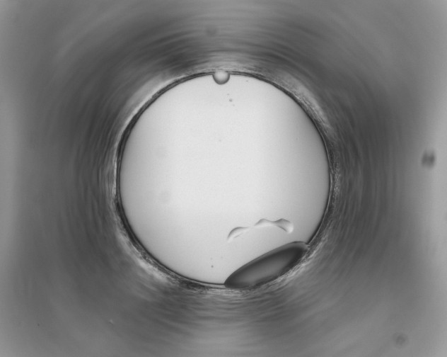 X0000096130844200802011146