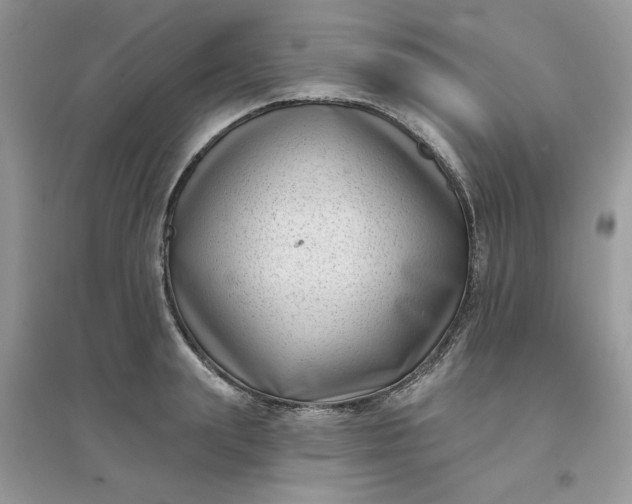 X0000096130847200802011146