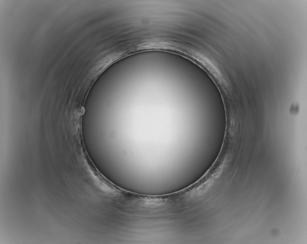 X0000096130849200802011146