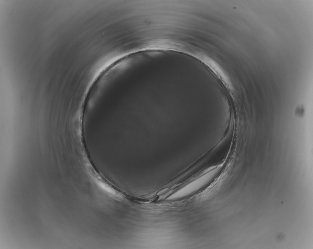 X0000096130854200802011146