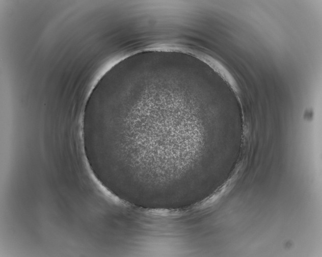 X0000096130855200802011146