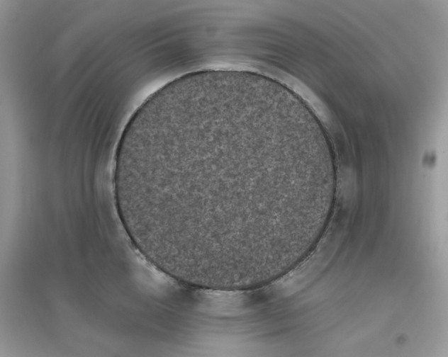 X0000096130856200802011146