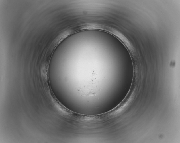 X0000096130857200802011146