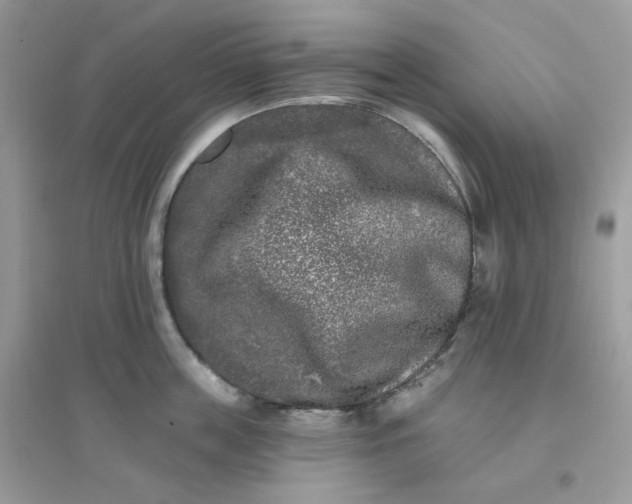 X0000096130859200802011146