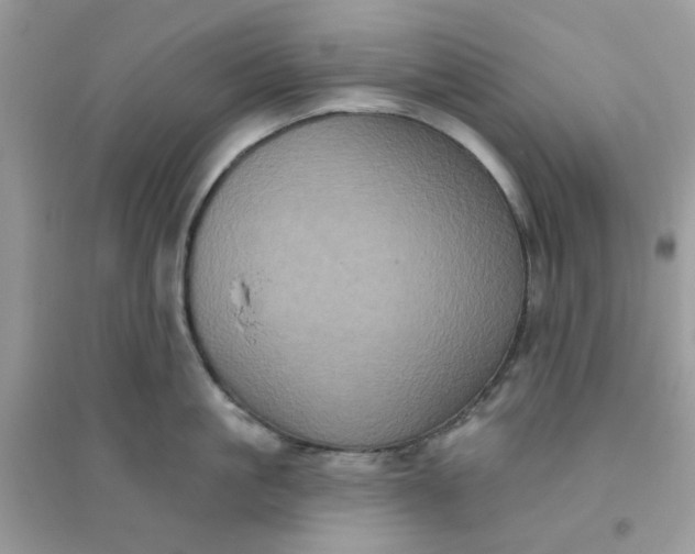 X0000096130861200802011146