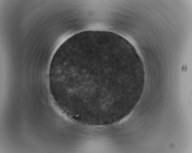 X0000096130864200802011146