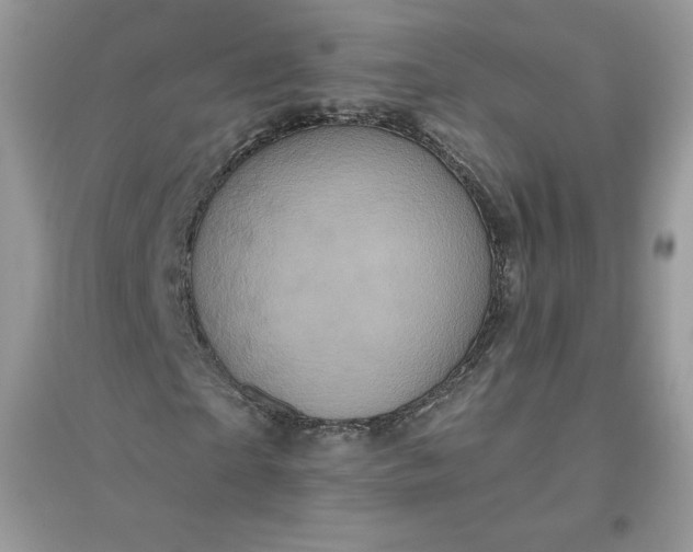 X0000096130865200802011146