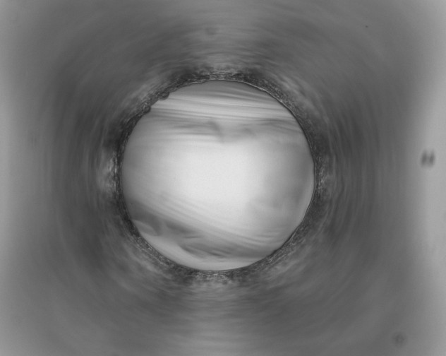 X0000096130866200802011146