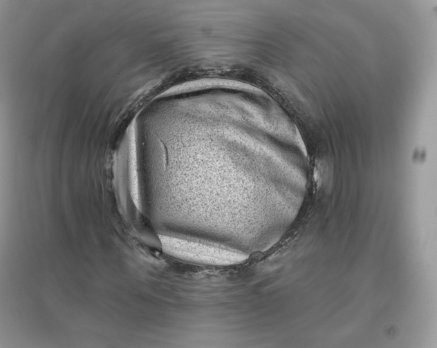 X0000096130867200802011146